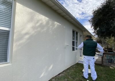 Exterior house wall painting