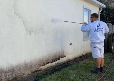 Exterior house wall painting and cleaining