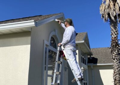 Exterior house painting