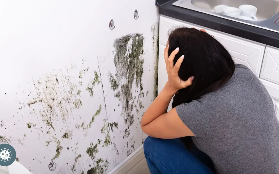 Best mold remover for painted walls