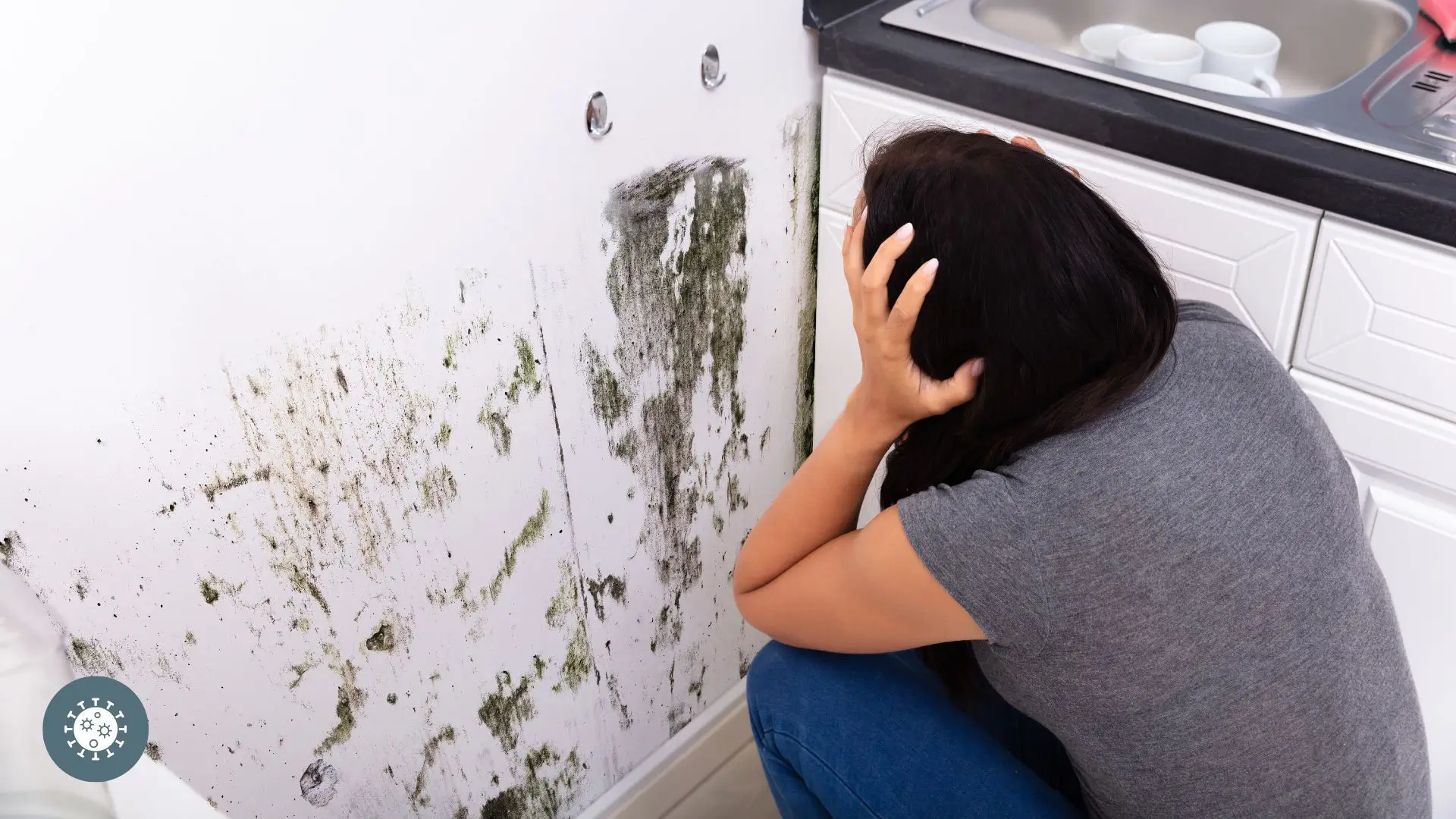 damaged kitchen wall paint after cleaning